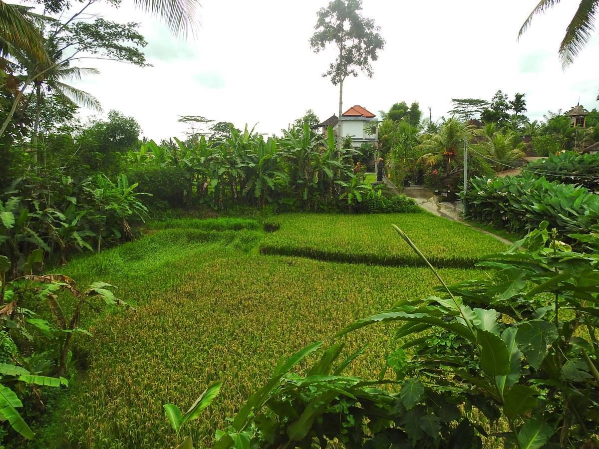 Mandala Hostel Ubud Exterior photo