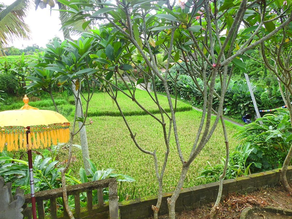 Mandala Hostel Ubud Exterior photo